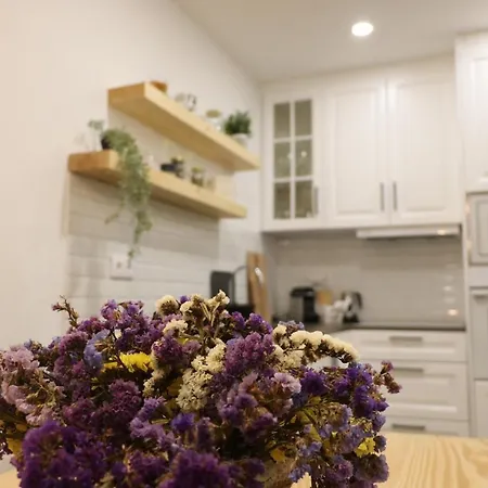 Casa Dos Palecos 別荘 *