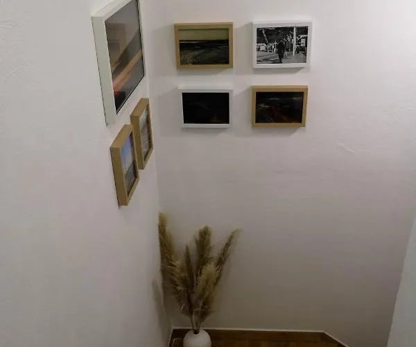 Casa Dos Palecos *